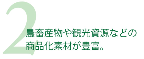 農畜産物や観光資源などの商品化素材が豊富。